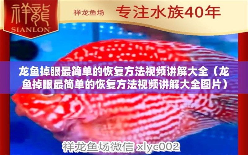 龍魚掉眼最簡單的恢復方法視頻講解大全（龍魚掉眼最簡單的恢復方法視頻講解大全圖片）