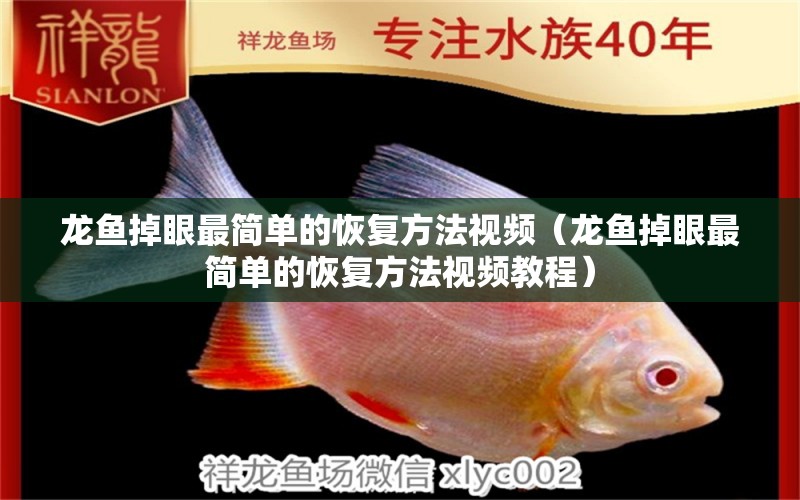 龍魚掉眼最簡單的恢復(fù)方法視頻（龍魚掉眼最簡單的恢復(fù)方法視頻教程）