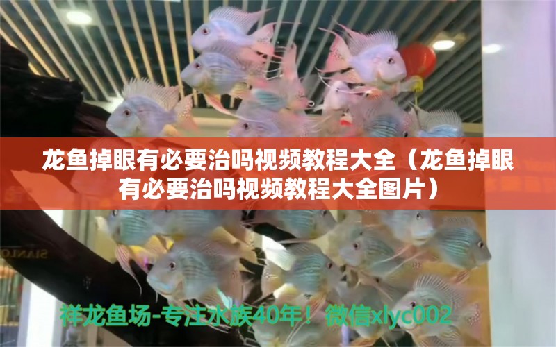 龍魚掉眼有必要治嗎視頻教程大全（龍魚掉眼有必要治嗎視頻教程大全圖片）