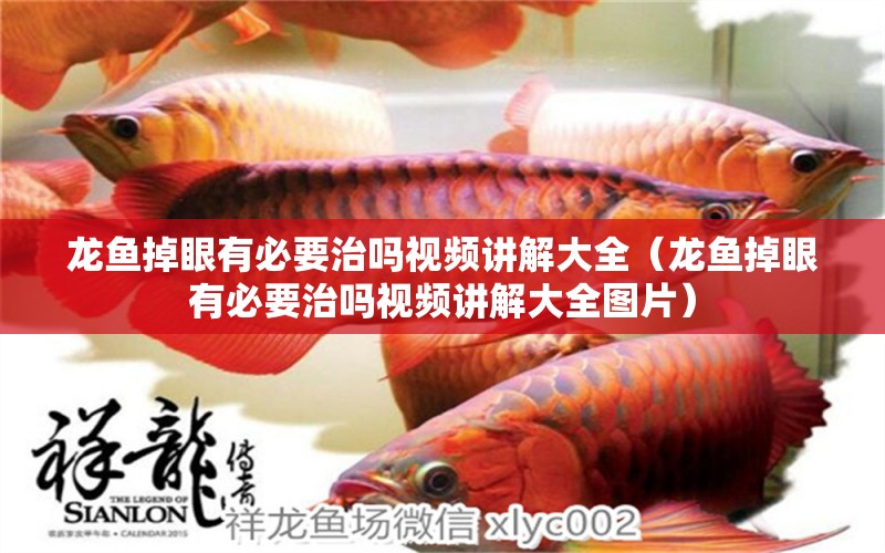 龍魚掉眼有必要治嗎視頻講解大全（龍魚掉眼有必要治嗎視頻講解大全圖片）