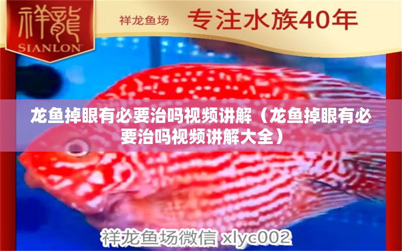 龍魚(yú)掉眼有必要治嗎視頻講解（龍魚(yú)掉眼有必要治嗎視頻講解大全）