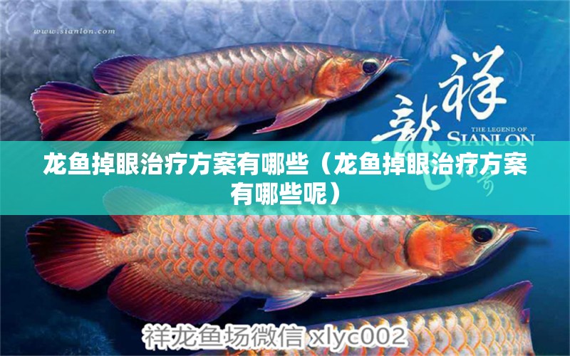 龍魚掉眼治療方案有哪些（龍魚掉眼治療方案有哪些呢）