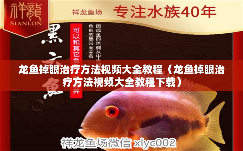 龍魚掉眼治療方法視頻大全教程（龍魚掉眼治療方法視頻大全教程下載）