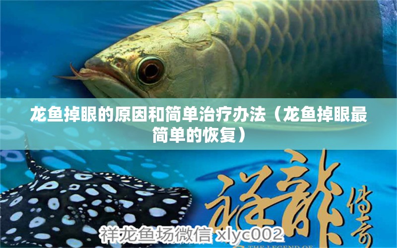 龍魚掉眼的原因和簡單治療辦法（龍魚掉眼最簡單的恢復(fù)）