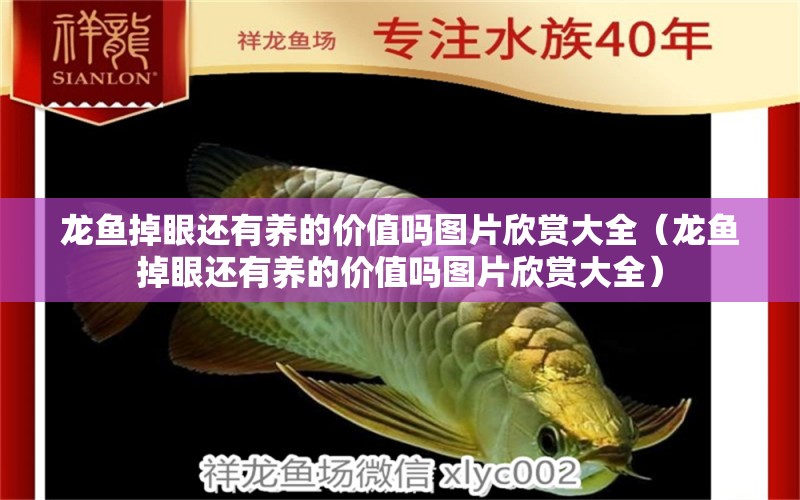 龍魚掉眼還有養(yǎng)的價值嗎圖片欣賞大全（龍魚掉眼還有養(yǎng)的價值嗎圖片欣賞大全） 龍魚疾病與治療