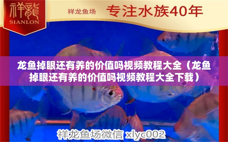 龍魚掉眼還有養(yǎng)的價值嗎視頻教程大全（龍魚掉眼還有養(yǎng)的價值嗎視頻教程大全下載）