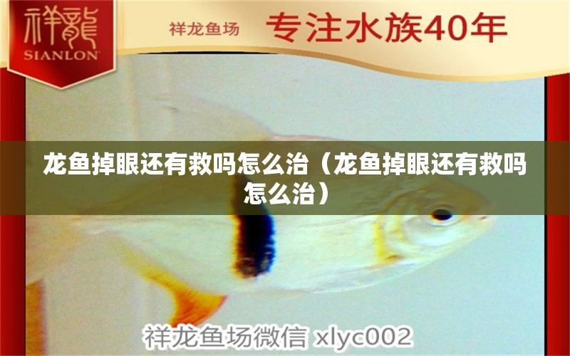 龍魚(yú)掉眼還有救嗎怎么治（龍魚(yú)掉眼還有救嗎怎么治）