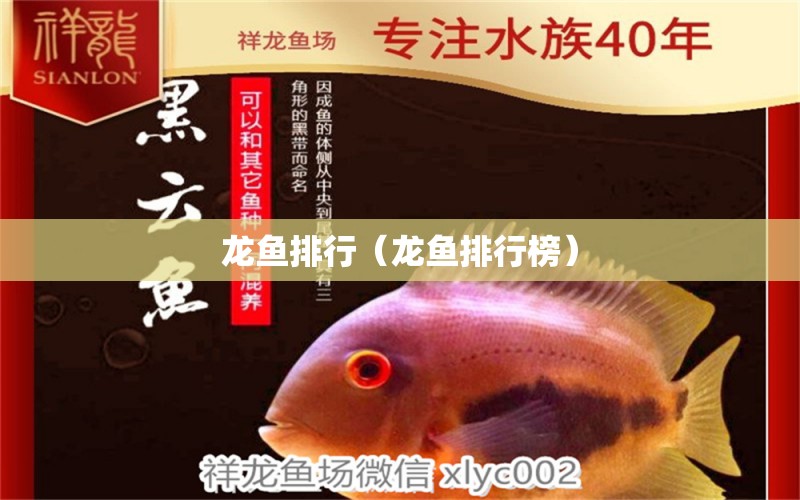 龍魚排行（龍魚排行榜）