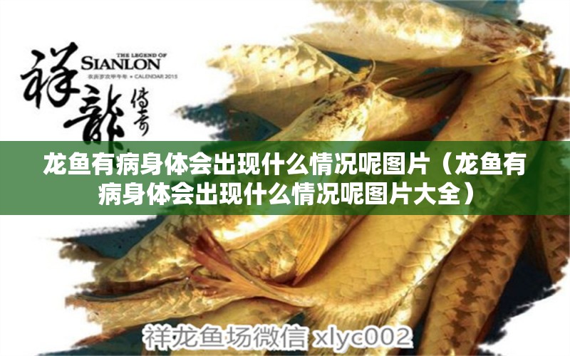 龍魚有病身體會出現(xiàn)什么情況呢圖片（龍魚有病身體會出現(xiàn)什么情況呢圖片大全） 龍魚疾病與治療