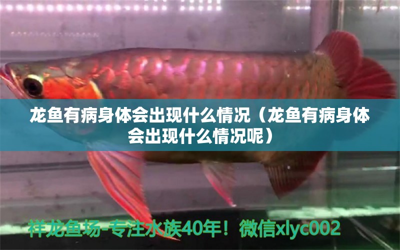 龍魚(yú)有病身體會(huì)出現(xiàn)什么情況（龍魚(yú)有病身體會(huì)出現(xiàn)什么情況呢）