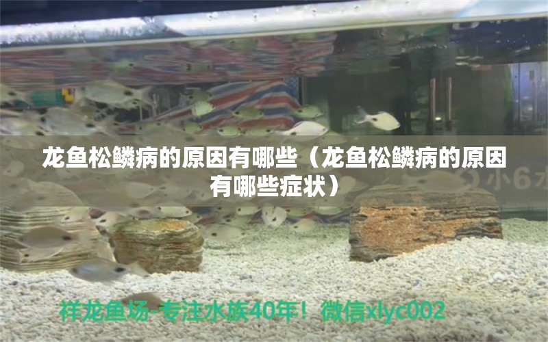 龍魚松鱗病的原因有哪些（龍魚松鱗病的原因有哪些癥狀） 廣州龍魚批發(fā)市場(chǎng)