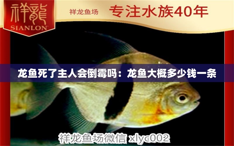 龍魚死了主人會(huì)倒霉嗎：龍魚大概多少錢一條