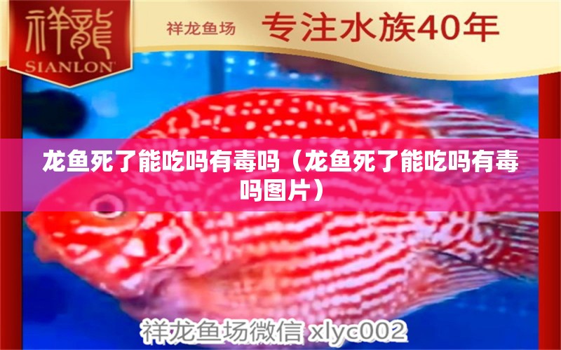 龍魚死了能吃嗎有毒嗎（龍魚死了能吃嗎有毒嗎圖片）