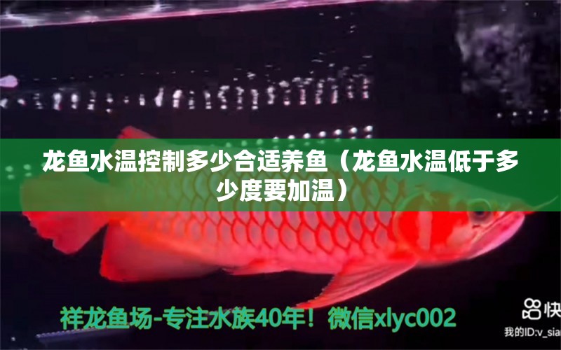 龍魚水溫控制多少合適養(yǎng)魚（龍魚水溫低于多少度要加溫）