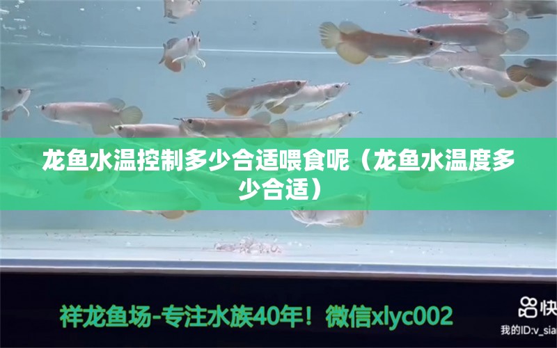 龍魚水溫控制多少合適喂食呢（龍魚水溫度多少合適）