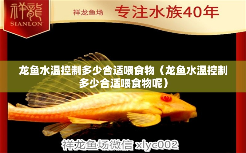 龍魚(yú)水溫控制多少合適喂食物（龍魚(yú)水溫控制多少合適喂食物呢） 廣州龍魚(yú)批發(fā)市場(chǎng)