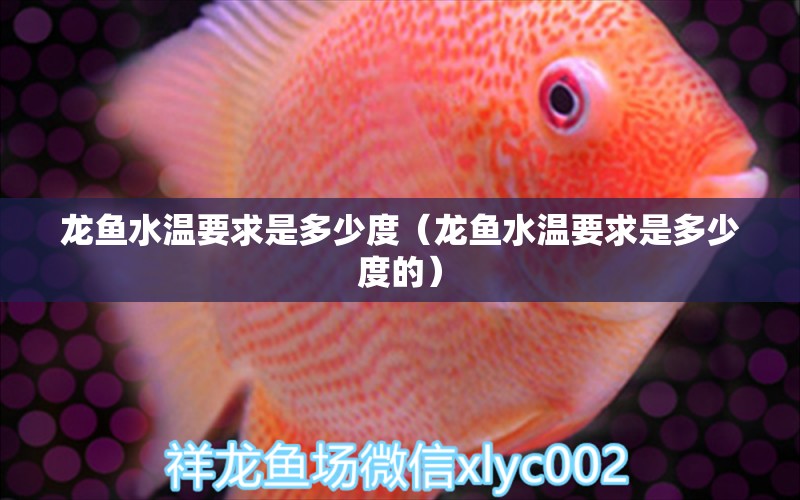 龍魚水溫要求是多少度（龍魚水溫要求是多少度的）