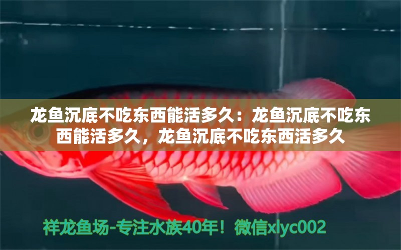 龍魚沉底不吃東西能活多久：龍魚沉底不吃東西能活多久，龍魚沉底不吃東西活多久 龍魚百科 第2張