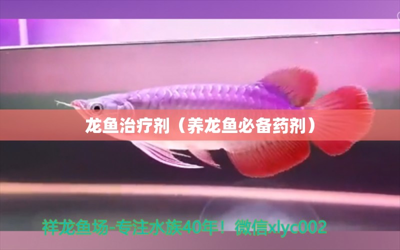 龍魚治療劑（養(yǎng)龍魚必備藥劑）