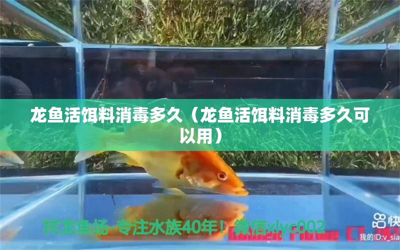 龍魚活餌料消毒多久（龍魚活餌料消毒多久可以用） 廣州龍魚批發(fā)市場