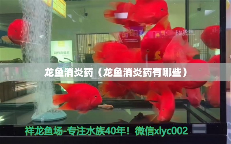 龍魚消炎藥（龍魚消炎藥有哪些）