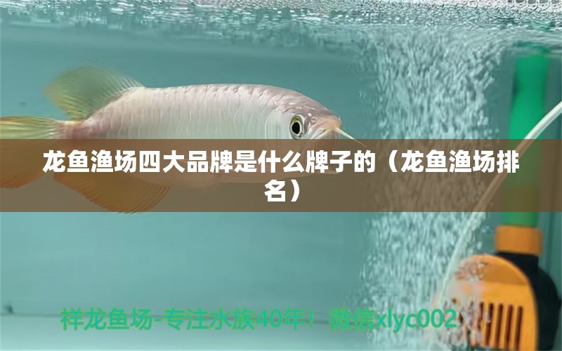 龍魚漁場四大品牌是什么牌子的（龍魚漁場排名）