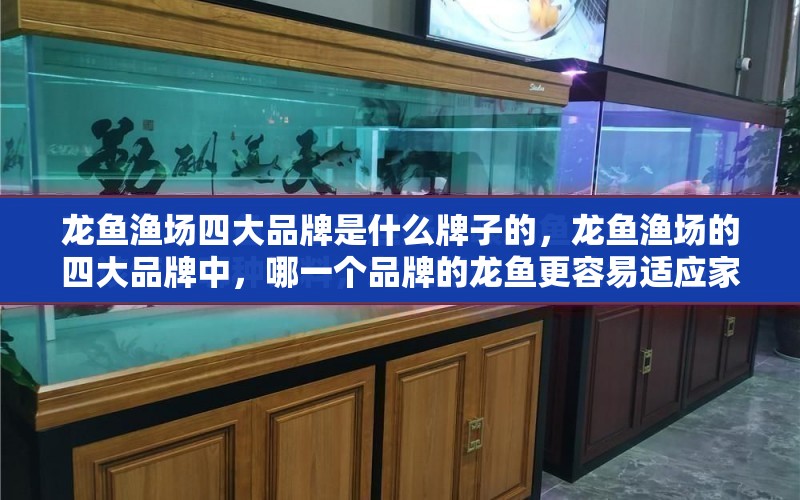 龍魚漁場四大品牌是什么牌子的，龍魚漁場的四大品牌中，哪一個品牌的龍魚更容易適應(yīng)家庭環(huán)境？ 水族問答 第2張