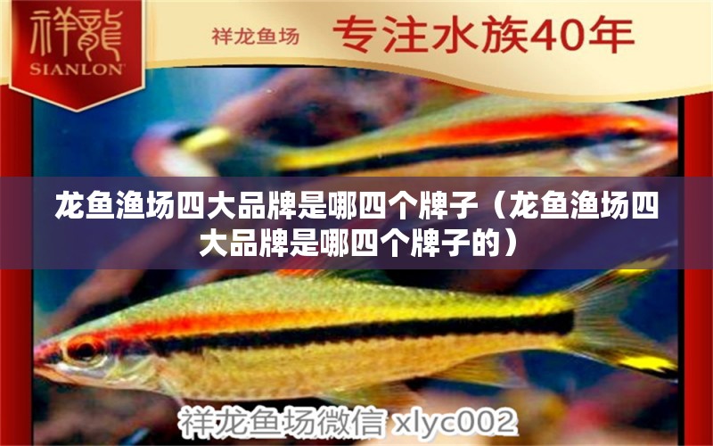 龍魚漁場四大品牌是哪四個牌子（龍魚漁場四大品牌是哪四個牌子的）