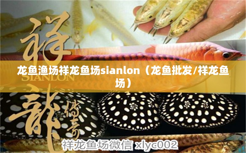 龍魚漁場(chǎng)祥龍魚場(chǎng)sianlon（龍魚批發(fā)/祥龍魚場(chǎng)）