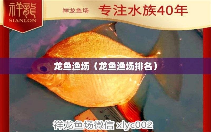 龍魚漁場（龍魚漁場排名）