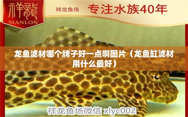 龍魚濾材哪個牌子好一點啊圖片（龍魚缸濾材用什么最好） 觀賞魚