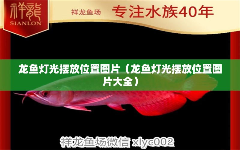 龍魚燈光擺放位置圖片（龍魚燈光擺放位置圖片大全） 龍鳳鯉魚