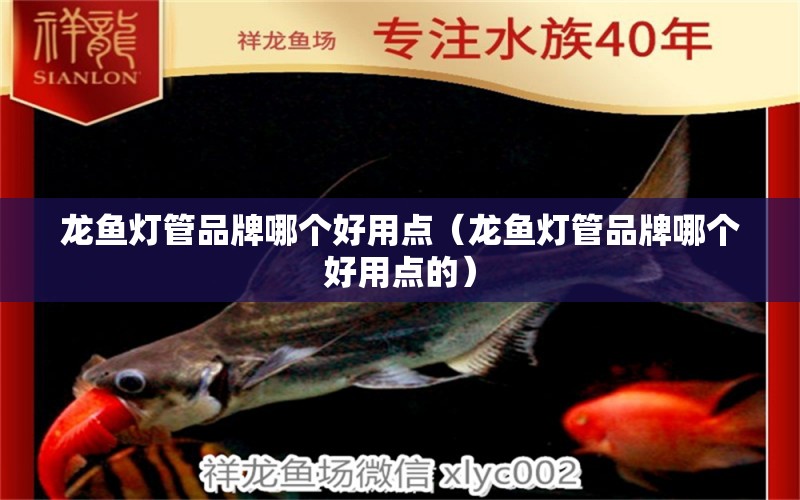 龍魚燈管品牌哪個好用點（龍魚燈管品牌哪個好用點的）