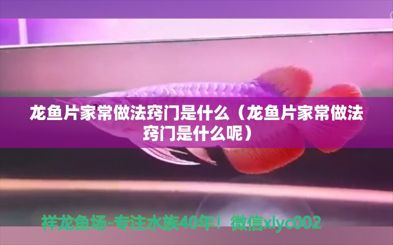 龍魚片家常做法竅門是什么（龍魚片家常做法竅門是什么呢）