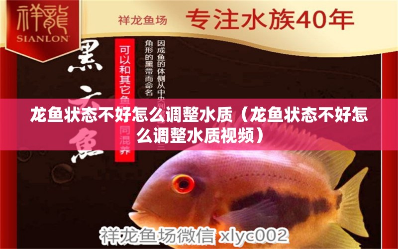 龍魚狀態(tài)不好怎么調(diào)整水質(zhì)（龍魚狀態(tài)不好怎么調(diào)整水質(zhì)視頻） 龍魚疾病與治療