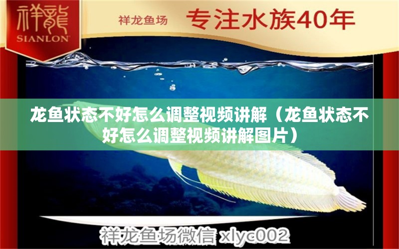 龍魚狀態(tài)不好怎么調(diào)整視頻講解（龍魚狀態(tài)不好怎么調(diào)整視頻講解圖片）