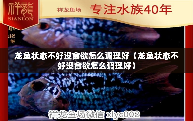 龍魚(yú)狀態(tài)不好沒(méi)食欲怎么調(diào)理好（龍魚(yú)狀態(tài)不好沒(méi)食欲怎么調(diào)理好）