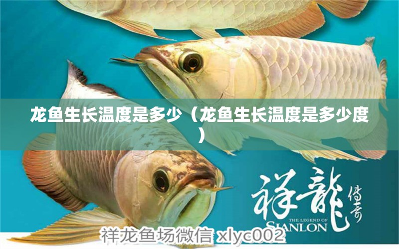 龍魚生長溫度是多少（龍魚生長溫度是多少度） 廣州龍魚批發(fā)市場