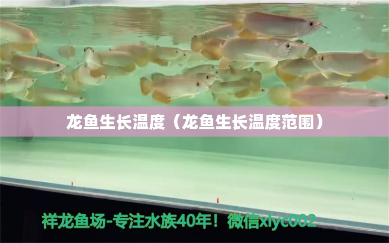 龍魚生長溫度（龍魚生長溫度范圍）