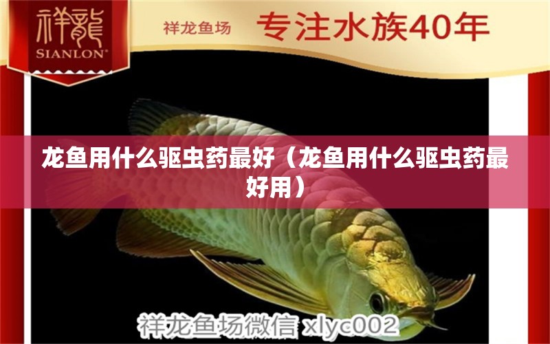 龍魚用什么驅(qū)蟲藥最好（龍魚用什么驅(qū)蟲藥最好用）