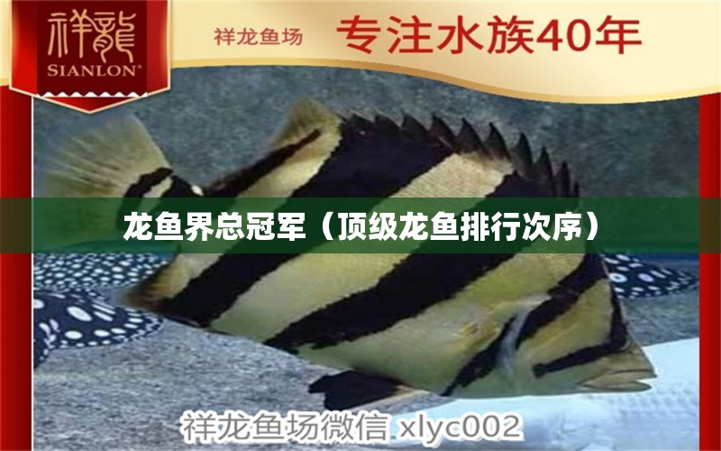 龍魚界總冠軍（頂級龍魚排行次序）