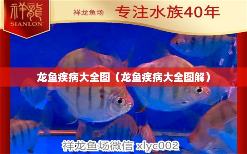 龍魚疾病大全圖（龍魚疾病大全圖解）