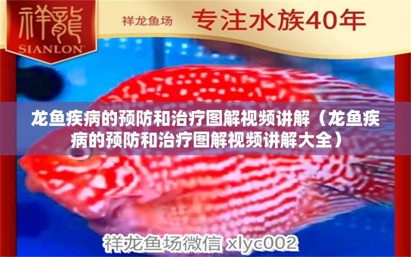 龍魚(yú)疾病的預(yù)防和治療圖解視頻講解（龍魚(yú)疾病的預(yù)防和治療圖解視頻講解大全）