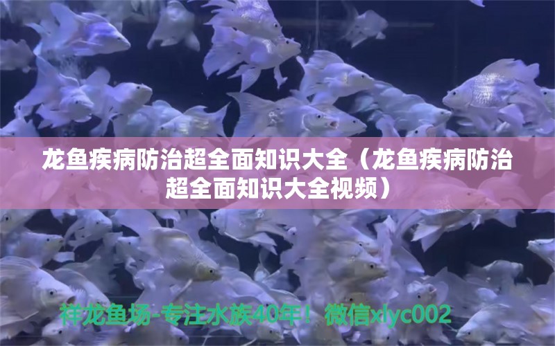 龍魚(yú)疾病防治超全面知識(shí)大全（龍魚(yú)疾病防治超全面知識(shí)大全視頻）