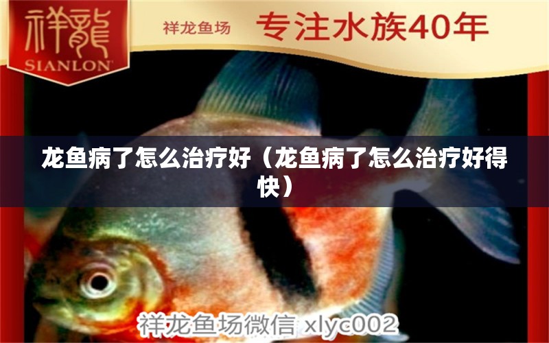 龍魚病了怎么治療好（龍魚病了怎么治療好得快） 龍魚疾病與治療