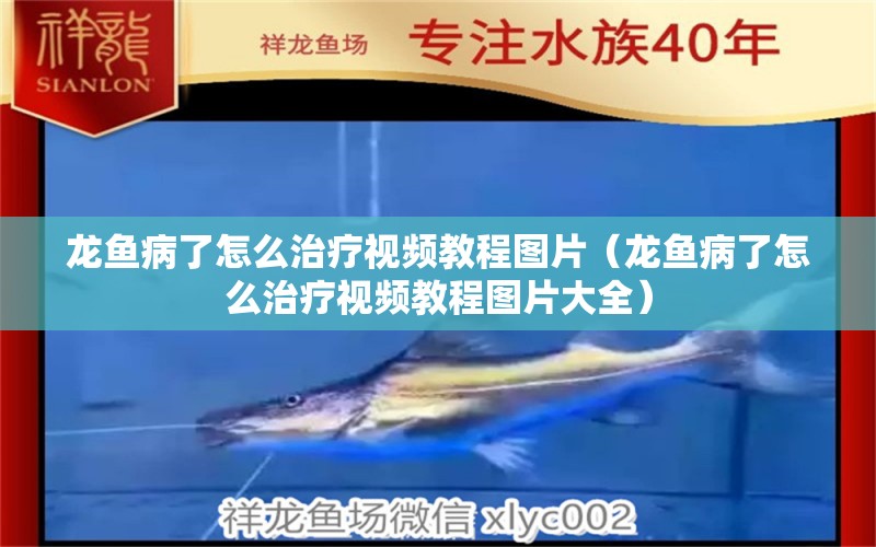 龍魚病了怎么治療視頻教程圖片（龍魚病了怎么治療視頻教程圖片大全）