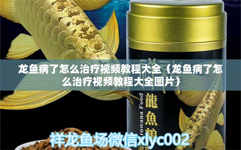 龍魚病了怎么治療視頻教程大全（龍魚病了怎么治療視頻教程大全圖片）