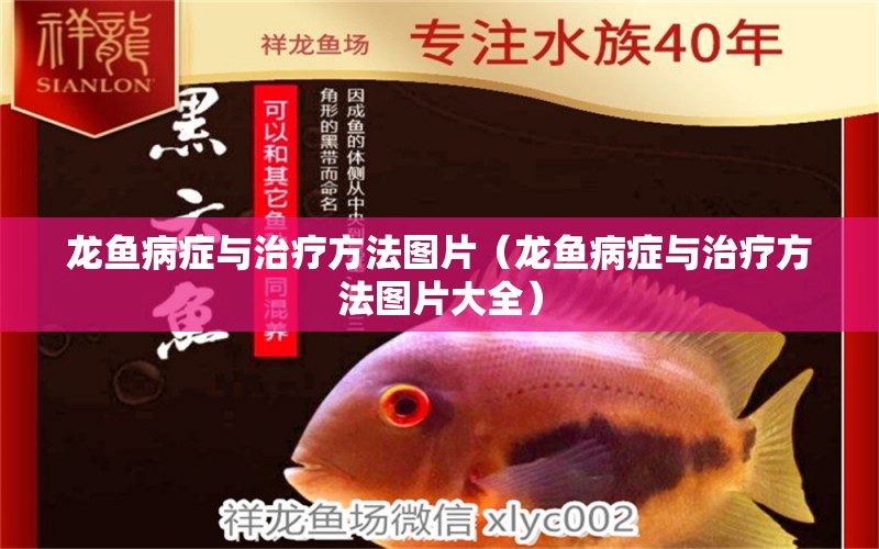 龍魚病癥與治療方法圖片（龍魚病癥與治療方法圖片大全）