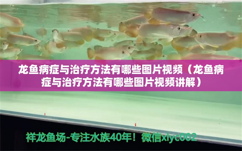 龍魚病癥與治療方法有哪些圖片視頻（龍魚病癥與治療方法有哪些圖片視頻講解）