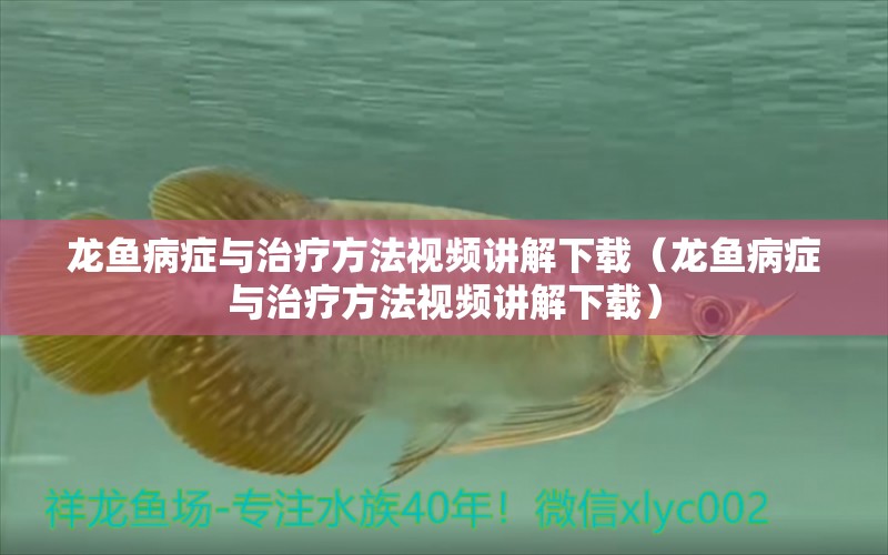 龍魚病癥與治療方法視頻講解下載（龍魚病癥與治療方法視頻講解下載）